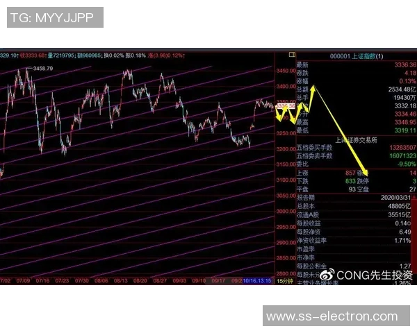 中国与委内瑞拉篮球比赛分析大小分走势及预测策略探讨